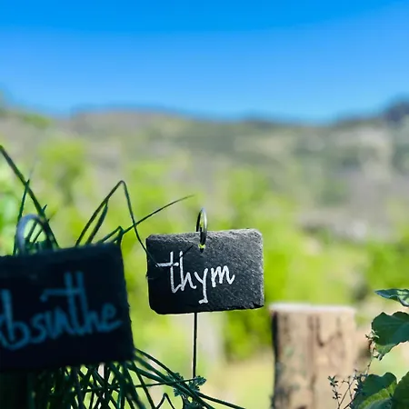 بيت للعطل Charming House With Sea View Emily In Porri