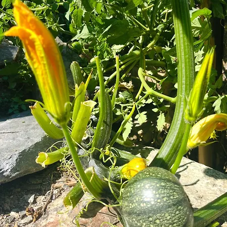 بيت للعطل Charming House With Sea View Emily In Porri