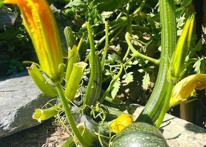 Tatil Evi Charming House With Sea View Emily In Porri